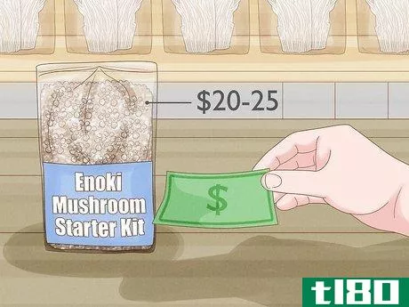 如何种植香菇(grow enoki mushrooms)