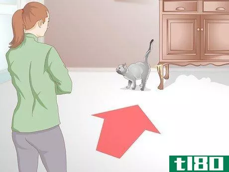 Image titled Get Rid of Cat Spray Odor Step 11