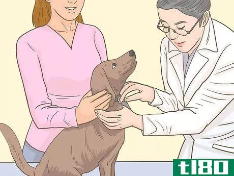 Image titled Get an Emotional Support Animal Letter Step 10