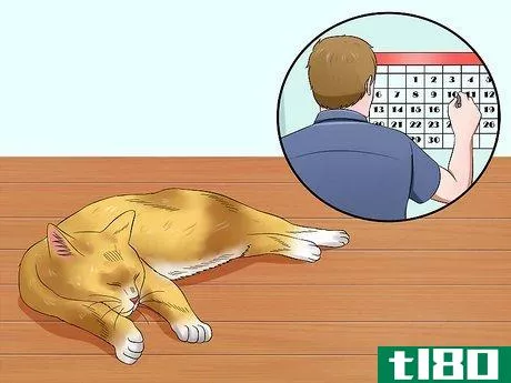 Image titled Help Cats to Sleep at Bedtime Step 1
