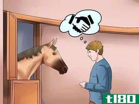 Image titled Get a Head Shy Horse To Trust You Step 15