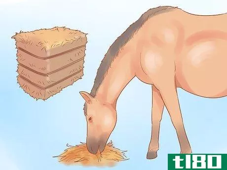 Image titled Keep a Horse from Cribbing Step 1