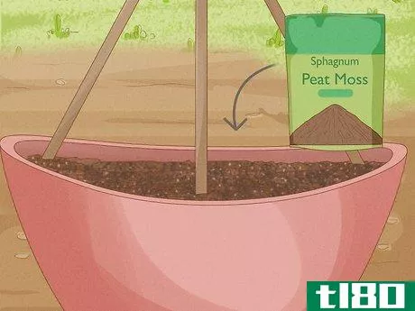 Image titled Grow Cucumbers in Pots Step 14