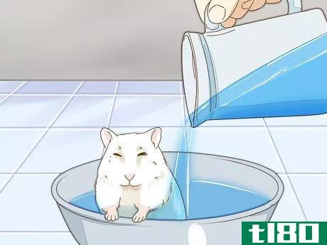 Image titled Give Your Hamster a Bath Step 14