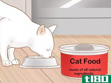 Image titled Identify and Treat Liver Shunts in Cats Step 7