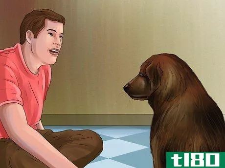 Image titled Give Your Dog Healthy Attention Step 3