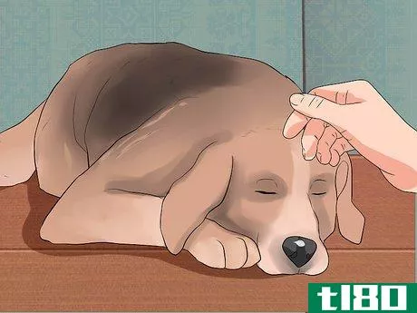 Image titled Get Rid of Dog Hiccups Step 1