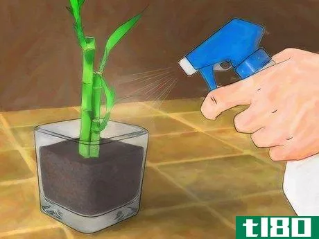 Image titled Grow Lucky Bamboo Step 7