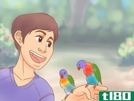 Image titled Know if Lories and Lorikeets Are Right for You Step 8