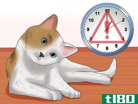 Image titled Identify if Your Cat Has Had a Stroke Step 10