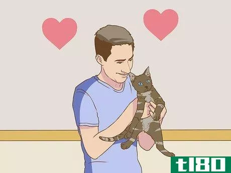 Image titled Help a Pet Grieve Step 7