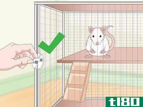 Image titled Keep Pet Rats Safe Around Other Pets Step 6