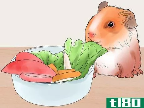 Image titled Get Your Guinea Pig to Lose Weight Step 7