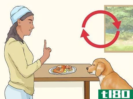 Image titled Handle Dog Begging for Food Step 10