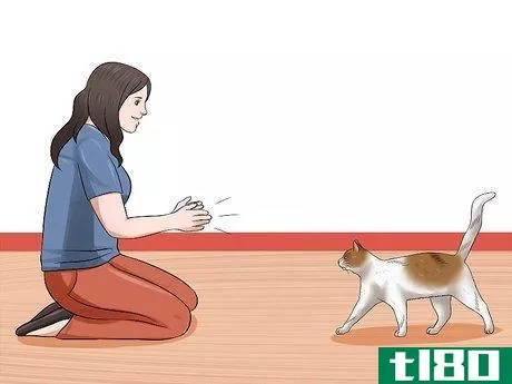 Image titled Keep a Cat Safe Outside Step 19