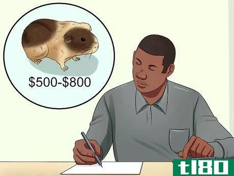 Image titled Get Your Guinea Pig to Trust You Step 11