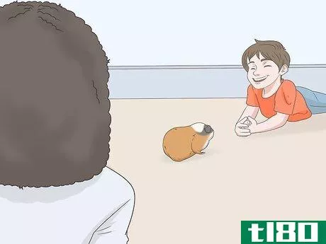 Image titled Hold a Guinea Pig Step 16