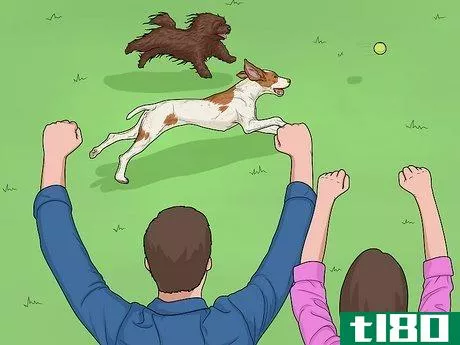 Image titled Hang Out with Your Dog Step 12