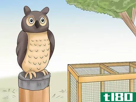 Image titled Keep Owls Away from Chickens Step 10