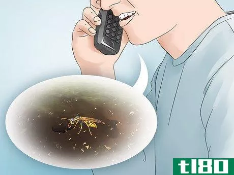 Image titled Get Rid of Ground Bees Step 12