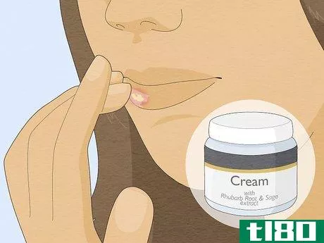 Image titled Get Rid of a Cold Sore Fast Step 11