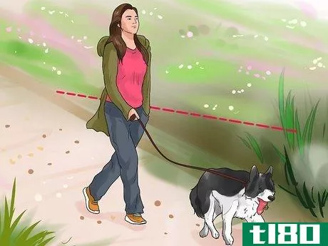 Image titled Hold a Dog's Leash Step 10