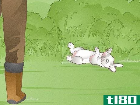 Image titled Hunt Rabbit Step 17