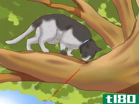 Image titled Get a Cat out of a Tree Step 5