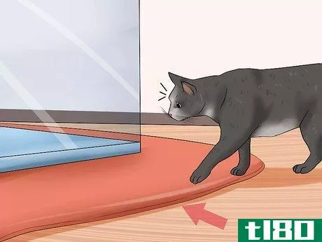 Image titled Keep Fish when You Have Cats That Like to Hunt Step 7
