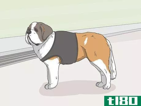 Image titled Identify a Service Dog Step 10