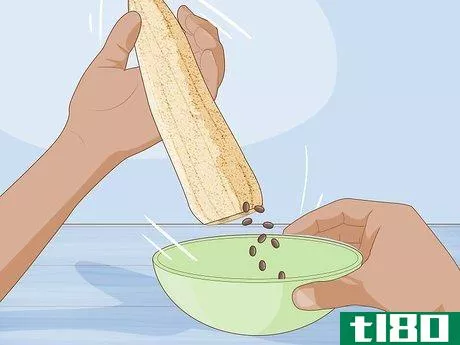 Image titled Grow Loofah Sponges Step 13