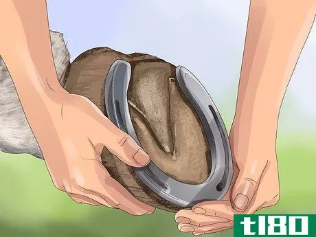 Image titled Know if Your Horse Needs Shoes Step 2