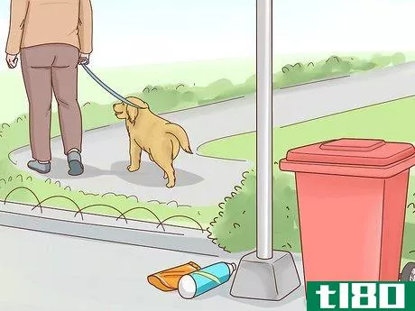 Image titled Get a Dog to Stop Eating Dirt Step 9