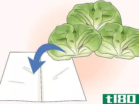 Image titled Harvest Buttercrunch Lettuce Step 10