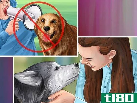 Image titled Give Your Dog Healthy Attention Step 1