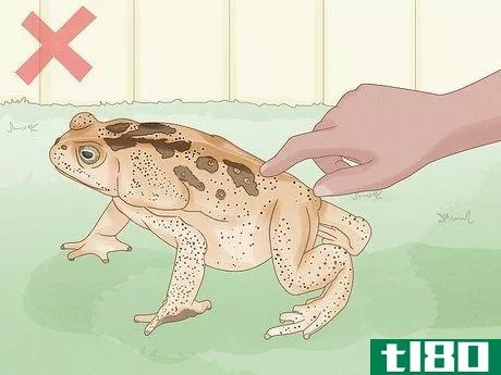 Image titled Get Rid of Frogs Step 3