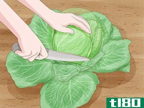 Image titled Harvest Cabbage Step 3