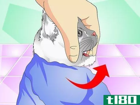 Image titled Give Cats Liquid Medicine Step 7