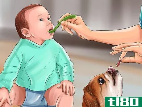Image titled Introduce a Dog to a New Family Member Step 14