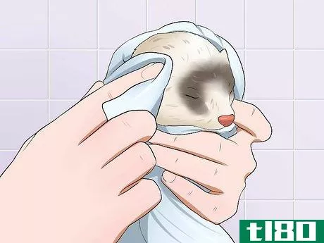 Image titled Keep Your Ferret's Hair Healthy Step 9