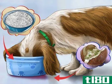 Image titled Give Your Dog Healthy Attention Step 14