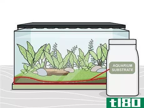 Image titled Grow Freshwater Aquarium Plants Step 8