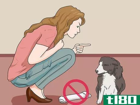 Image titled Introduce a New Dog to Your House and Other Dogs Step 35