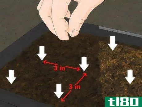 Image titled Grow Watercress Step 5
