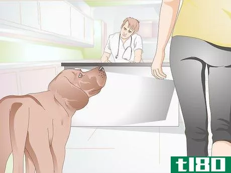 Image titled Identify Canine Ear Mites Step 9