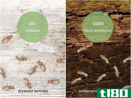 Image titled How Much Does It Cost to Get Rid of Termites Step 3
