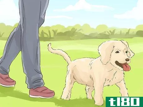Image titled Help Your Dog Live Longer Step 8