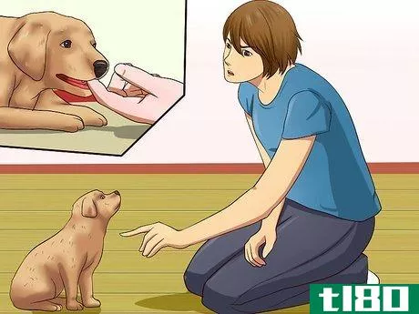 Image titled Get Your Puppy to Stop Biting Step 9