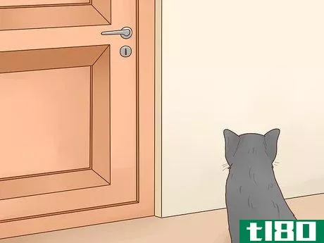Image titled Keep Cats out of Rooms Step 1