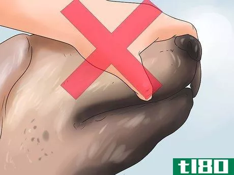 Image titled Help a Dog Who Has Canine Epilepsy Step 2